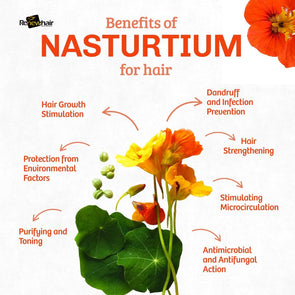 Nasturtium